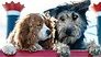 Disney+-tip: Lady & the Tramp